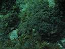 051127-mi_082.JPG