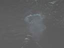 051127-mi_091.JPG