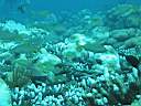 051128-ma_046.JPG