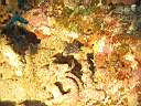 051128-mi_071.JPG