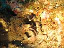 051128-mi_072.JPG