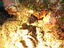 051128-mi_073.JPG