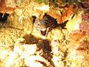 051128-mi_074.JPG