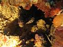 051128-mi_075.JPG