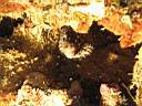 051128-mi_076.JPG