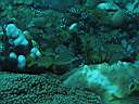 051128-mi_102.JPG