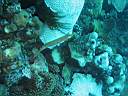 051128-mi_108.JPG