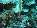 051128-mi_109.JPG