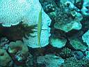 051128-mi_110.JPG