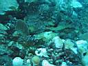 051128-mi_111.JPG