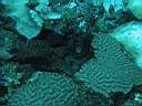 051128-mi_112.JPG