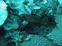051128-mi_113.JPG