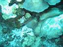 051128-mi_116.JPG