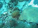 051128-mi_123.JPG