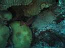 051128-mi_134.JPG