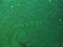 051129-mi_003.JPG