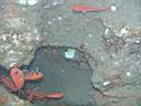 051129-mi_007.JPG