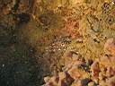 051129-mi_016.JPG
