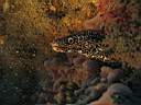 051129-mi_018.JPG