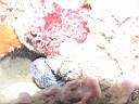 051129-mi_020.JPG