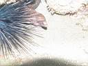 051129-mi_033.JPG