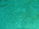 051130-ma_016.JPG