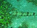 051130-ma_019.JPG