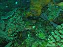 051130-ma_020.JPG