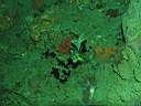 051130-ma_032.JPG
