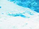 051130-ma_069.JPG