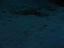 051130-ma_070.JPG