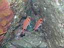 051130-mi_009.JPG