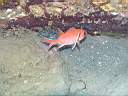 051130-mi_010.JPG