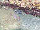 051130-mi_011.JPG