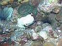 051130-mi_013.JPG