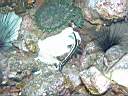 051130-mi_014.JPG