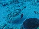 051130-mi_016.JPG