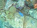 051130-mi_033.JPG
