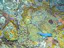 051130-mi_034.JPG