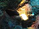 051130-mi_040.JPG