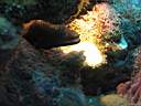 051130-mi_041.JPG