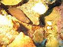 051130-mi_042.JPG