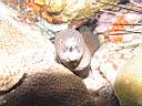 051130-mi_044.JPG