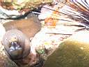 051130-mi_045.JPG