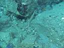 051130-mi_060.JPG