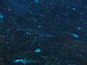 051201-ma_018.JPG