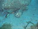 051202-mi_023.JPG