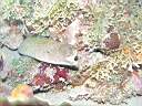 051202-mi_043.JPG