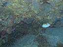 051202-mi_055.JPG