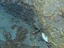 051202-mi_056.JPG
